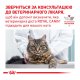 Royal Canin Urinary S/O Дієтичний сухий корм для дорослих котів при захворюваннях сечовивідних шляхів 1,5кг
