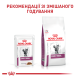 Royal Canin Early Renal Дієтичний вологий корм для дорослих котів від 7 років при ранній стадії ниркової недостатності (в соусі) 85г 12шт
