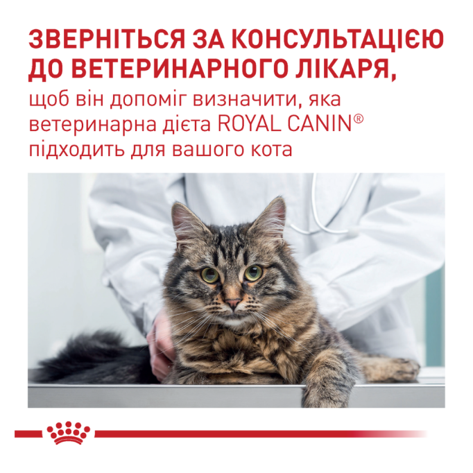 Royal Canin Neutered Maintenance Дієтичний вологий корм для дорослих котів після стерилізації/кастрації до 7 років (в соусі) 85г 12шт
