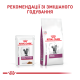 Royal Canin Renal Feline Beef Дієтичний вологий корм з яловичиною для дорослих котів при хворобах нирок (в соусі) 85г 12шт