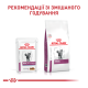 Royal Canin Renal Feline Chicken Дієтичний вологий корм з куркою для дорослих котів при хворобах нирок (в соусі) 85г 12шт