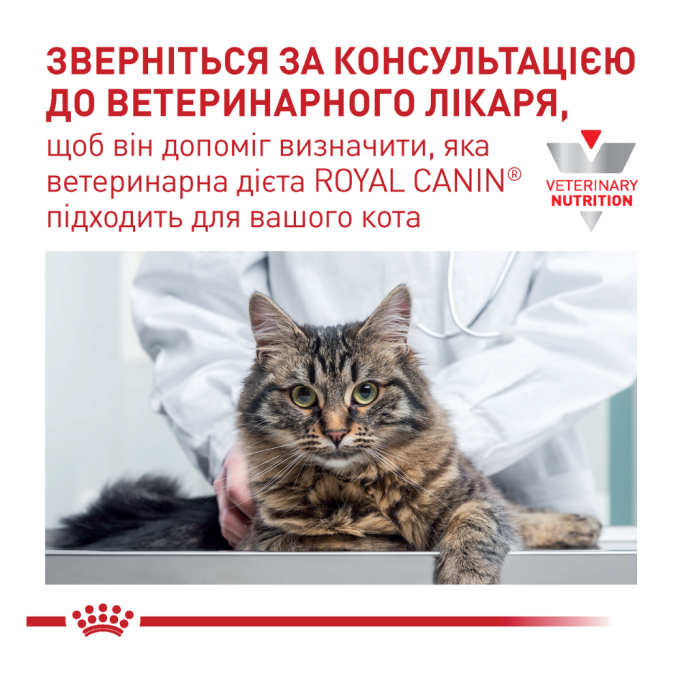 Royal Canin Renal Feline Chicken Дієтичний вологий корм з куркою для дорослих котів при хворобах нирок (в соусі) 85г 12шт