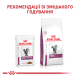 Royal Canin Renal Feline Fish Дієтичний вологий корм з тунцем для дорослих котів при хворобах нирок (в соусі) 85г 12шт