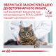 Royal Canin Urinary Feline S/O Moderate Дієтичний вологий корм для дорослих котів при захворюваннях сечовивідних шляхів (в соусі) 85г 12шт
