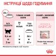 Royal Canin Mother & Babycat Сухий корм для вагітних та годуючих кішок і кошенят від 1 до 4 місяців 2кг