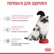 Royal Canin Mother & Babycat Сухий корм для вагітних та годуючих кішок і кошенят від 1 до 4 місяців 2кг