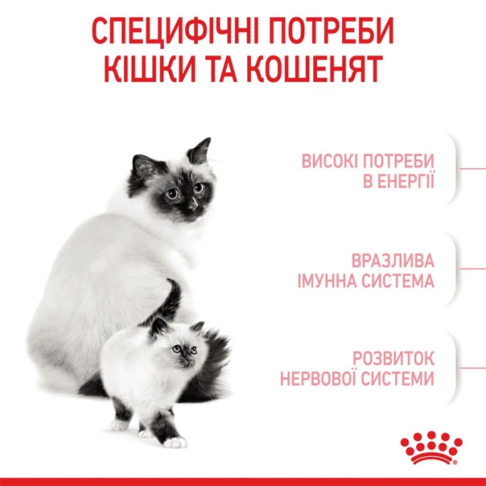 Royal Canin Mother & Babycat Сухий корм для вагітних та годуючих кішок і кошенят від 1 до 4 місяців 400 г