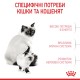 Royal Canin Mother & Babycat Сухий корм для вагітних та годуючих кішок і кошенят від 1 до 4 місяців 400 г