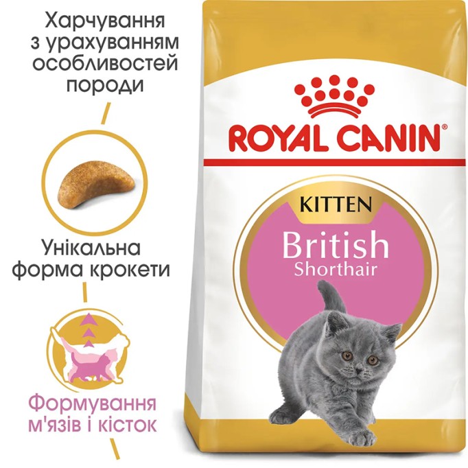 Royal Canin British Shorthair Kitten Сухий корм для кошенят породи Британська короткошерста 10 кг