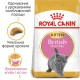 Royal Canin British Shorthair Kitten Сухий корм для кошенят породи Британська короткошерста 10 кг