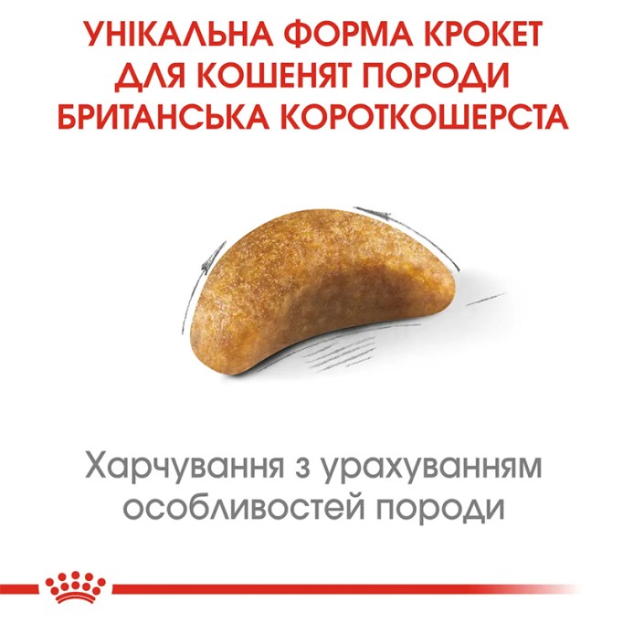 Royal Canin British Shorthair Kitten Сухий корм для кошенят породи Британська короткошерста 10 кг