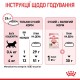 Royal Canin Kitten Сухий корм для кошенят до 12 місяців 400г