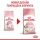 Royal Canin Kitten Сухий корм для кошенят до 12 місяців 400г