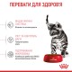 Royal Canin Kitten Sterilised Сухий корм для стерилізованих кошенят віком від 6 до 12 місяців 400 г