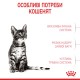 Royal Canin Kitten Sterilised Сухий корм для стерилізованих кошенят віком від 6 до 12 місяців 400 г