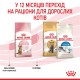 Royal Canin Kitten Sterilised Сухий корм для стерилізованих кошенят віком від 6 до 12 місяців 400 г