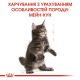 Royal Canin Maine Coon Kitten Сухий корм для кошенят породи Мейн-Кун 2 кг