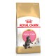 Royal Canin Maine Coon Kitten Сухий корм для кошенят породи Мейн-Кун 400г