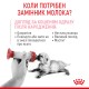 Royal Canin Babycat milk Повноцінний замінник молока для кошенят від народження та до відлучення 300 г