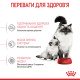 Royal Canin Mother & Babycat Сухий корм для вагітних та годуючих кішок і кошенят від 1 до 4 місяців 400 г