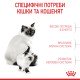 Royal Canin Mother & Babycat Сухий корм для вагітних та годуючих кішок і кошенят від 1 до 4 місяців 2 кг