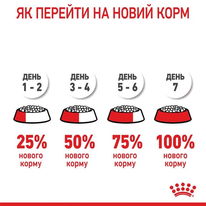 Royal Canin Sphynx Adult Сухий корм для дорослих котів породи Сфінкс 2 кг