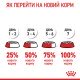 Royal Canin Sphynx Adult Сухий корм для дорослих котів породи Сфінкс 2 кг