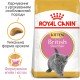 Royal Canin British Shorthair Kitten Сухий корм для кошенят породи Британська короткошерста 400 г