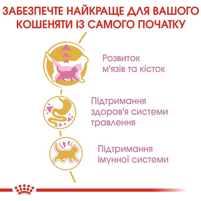 Royal Canin British Shorthair Kitten Сухий корм для кошенят породи Британська короткошерста 400 г