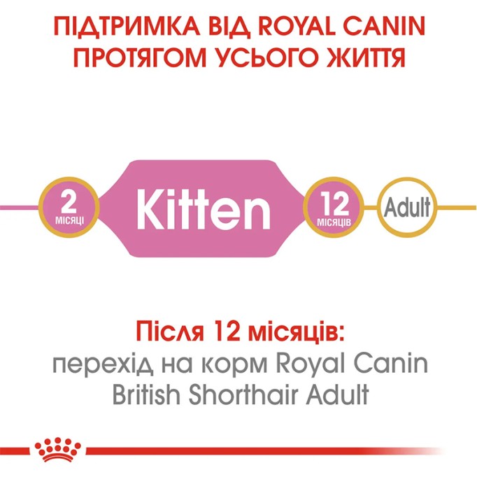 Royal Canin British Shorthair Kitten Сухий корм для кошенят породи Британська короткошерста 400 г