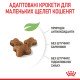Royal Canin Kitten Сухий корм для кошенят до 12 місяців 1.2 кг