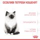 Royal Canin Kitten Сухий корм для кошенят до 12 місяців 4 кг