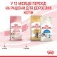 Royal Canin Kitten Сухий корм для кошенят до 12 місяців 4 кг