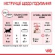 Royal Canin Kitten Sterilised Сухий корм для стерилізованих кошенят віком від 6 до 12 місяців 400 г
