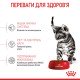 Royal Canin Kitten Sterilised Сухий корм для стерилізованих кошенят віком від 6 до 12 місяців 2 кг