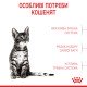 Royal Canin Kitten Sterilised Сухий корм для стерилізованих кошенят віком від 6 до 12 місяців 2 кг