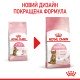 Royal Canin Kitten Sterilised Сухий корм для стерилізованих кошенят віком від 6 до 12 місяців 2 кг