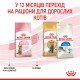 Royal Canin Kitten Sterilised Сухий корм для стерилізованих кошенят віком від 6 до 12 місяців 2 кг