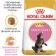 Royal Canin Maine Coon Kitten Сухий корм для кошенят породи Мейн-Кун 400 г