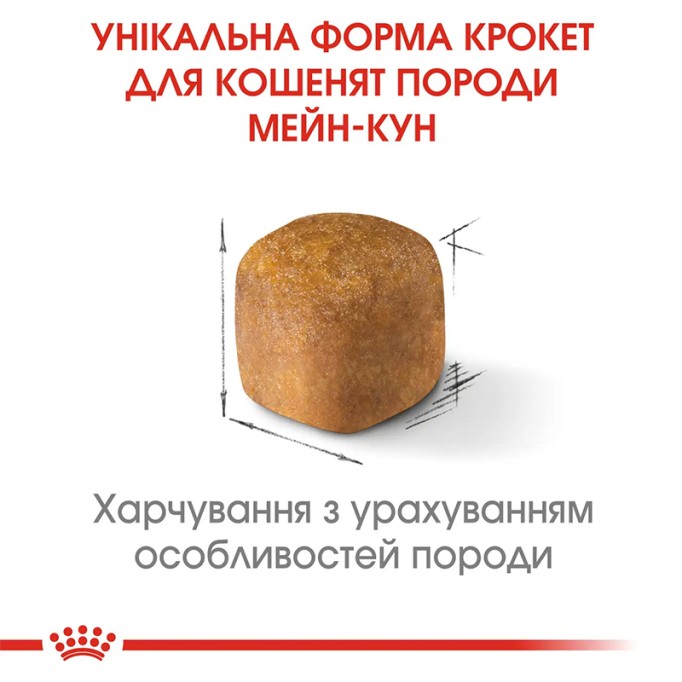 Royal Canin Maine Coon Kitten Сухий корм для кошенят породи Мейн-Кун 400 г