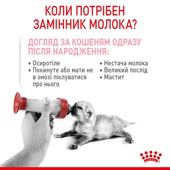 Royal Canin Babycat milk Повноцінний замінник молока для кошенят від народження та до відлучення 300г