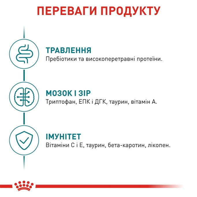 Royal Canin Ageing 11+ Сухий корм для літніх котів старше 11 років 400 г