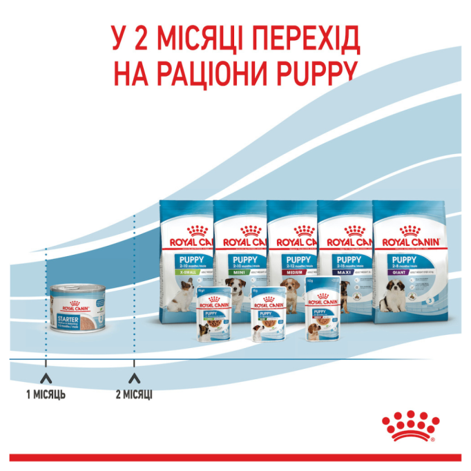 Royal Canin Starter Mother & Babydog Mousse Консервований корм для вагітних собак та цуценят до 2 місяців (мус) 195г