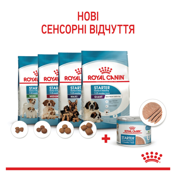 Royal Canin Starter Mother & Babydog Mousse Консервований корм для вагітних собак та цуценят до 2 місяців (мус) 195г