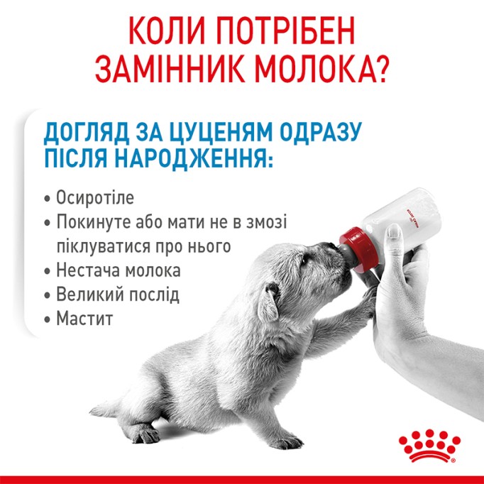 Royal Canin Babydog milk Повноцінний замінник молока для цуценят від народження та до відлучення 2 кг