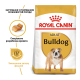 Royal Canin Bulldog Adult Сухий корм для дорослих собак породи Англійський бульдог 3кг