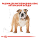 Royal Canin Bulldog Adult Сухий корм для дорослих собак породи Англійський бульдог 3кг