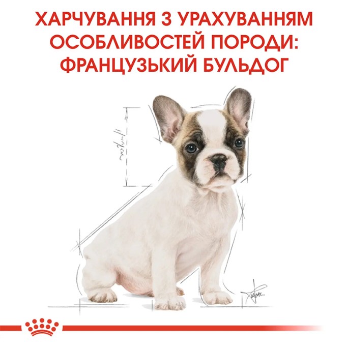 Royal Canin French Bulldog Puppy Сухий корм для цуценят породи Французький бульдог 1кг