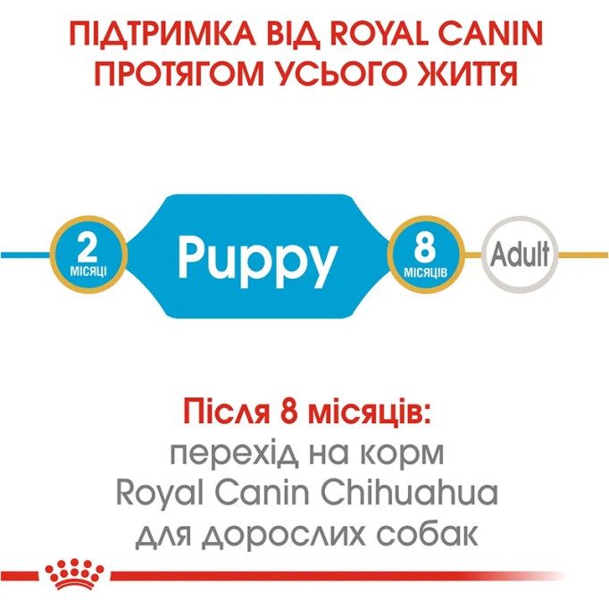 Royal Canin Chihuahua Puppy Сухий корм для цуценят породи Чихуахуа 500 г