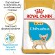Royal Canin Chihuahua Puppy Сухий корм для цуценят породи Чихуахуа 1.5 кг